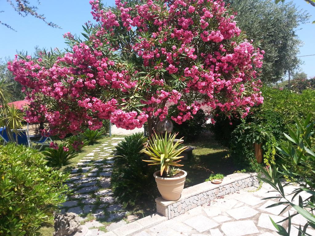 Antico Casolare Sorso-Tourist Rental Екстер'єр фото