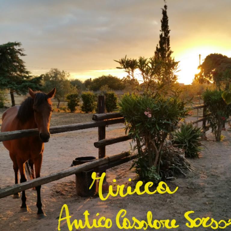 Antico Casolare Sorso-Tourist Rental Екстер'єр фото
